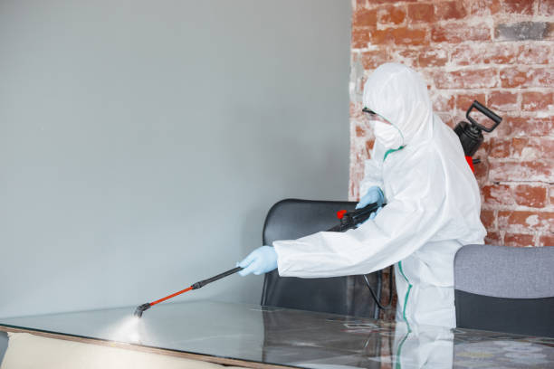 Mold Removal for HVAC Installations in Dana Point, CA